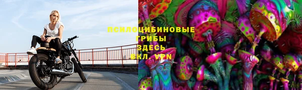 mix Гусь-Хрустальный