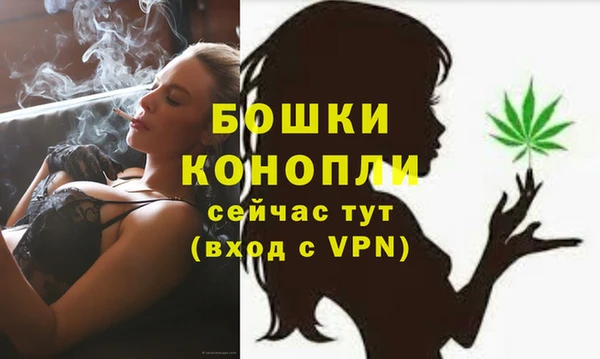 трава Гусиноозёрск