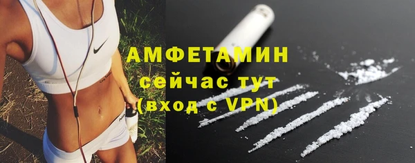 трава Гусиноозёрск
