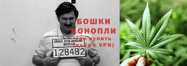 трава Гусиноозёрск