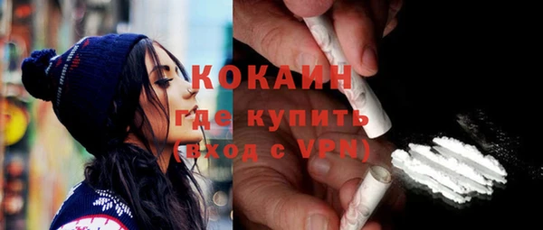трава Гусиноозёрск