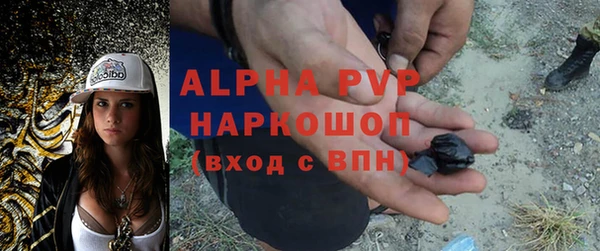 бошки Гусев