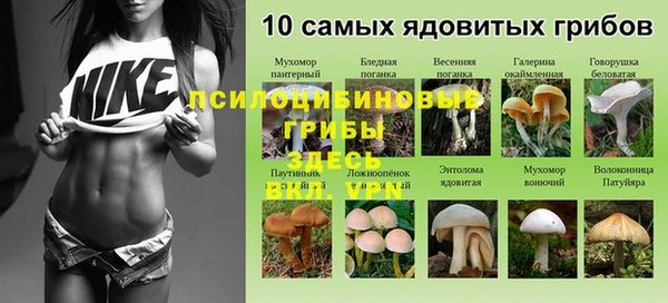 бошки Гусев