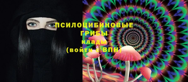 трава Гусиноозёрск