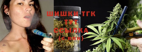 бошки Гусев