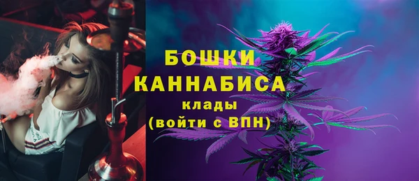 бошки Гусев
